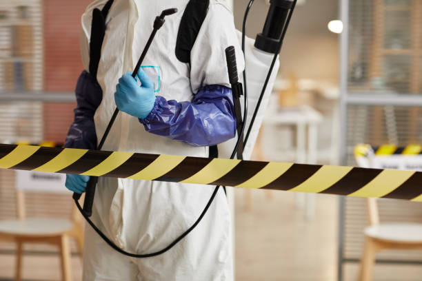 Professional Sewage Cleanup technician working in Hickman, KY